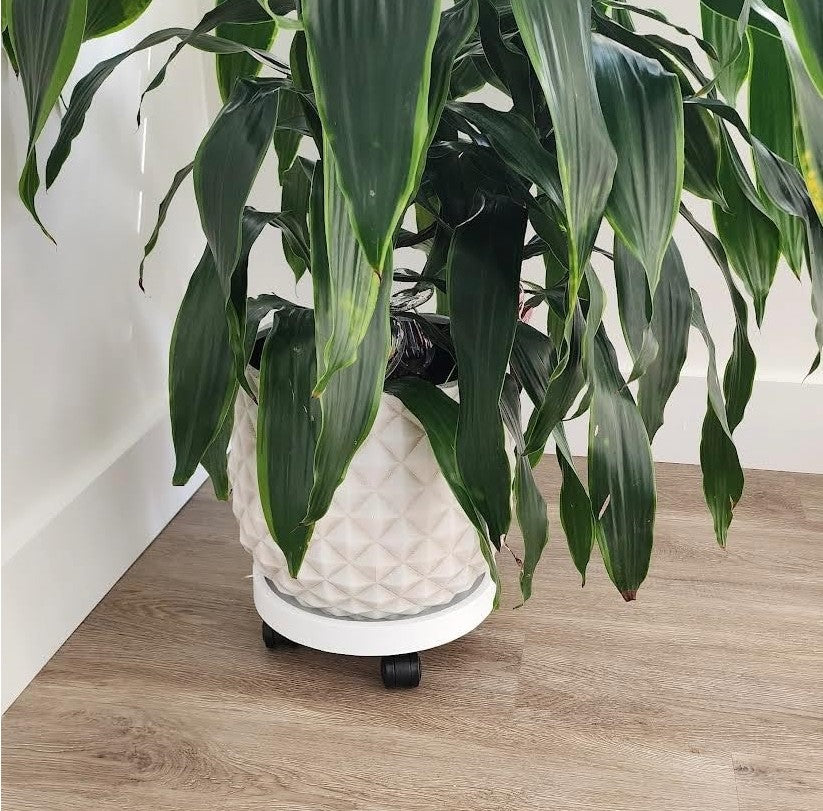 9.8"/ 11"/ 12.6"/ 14.2"/ 15.5"/ 17.5"/20.5“, Round Planter Caddies, White