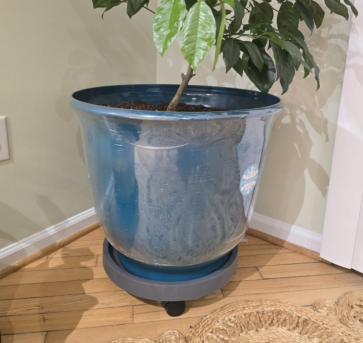 9.8"/ 11"/ 12.6"/ 14.2"/ 15.5"/ 17.5"/20.5“ Round Planter Caddies, Gray